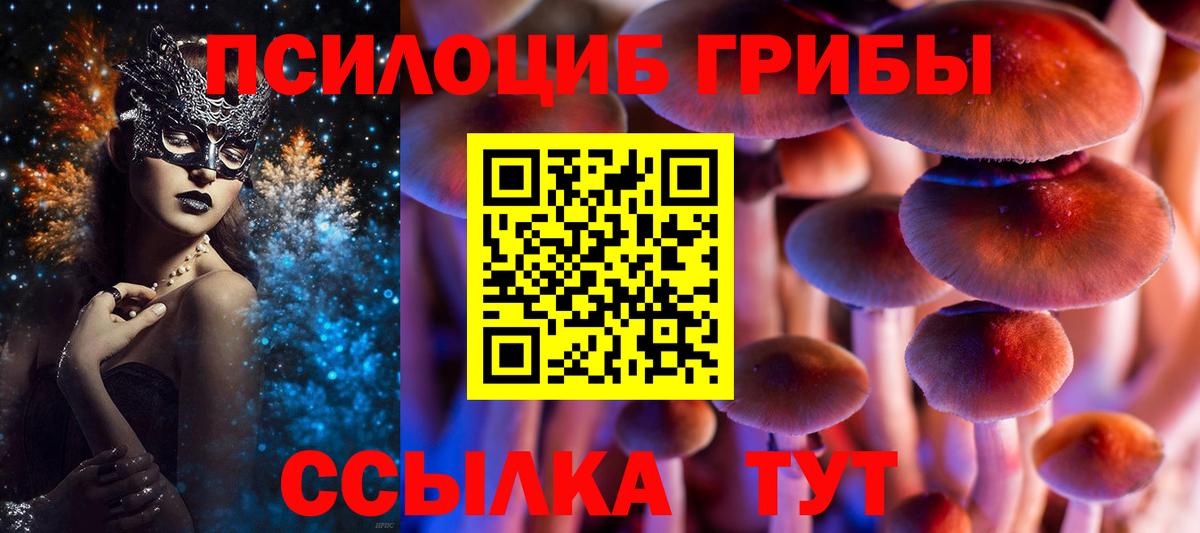 Галлюциногенные грибы MAGIC MUSHROOMS Сланцы